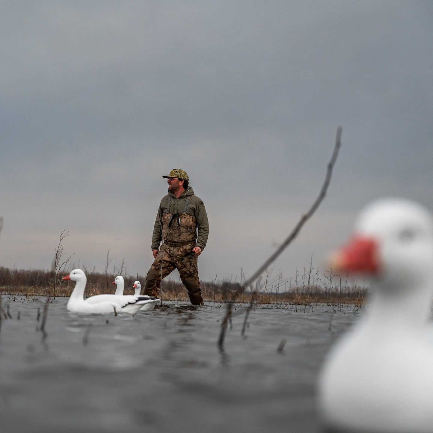 F1 Snow Goose Floaters