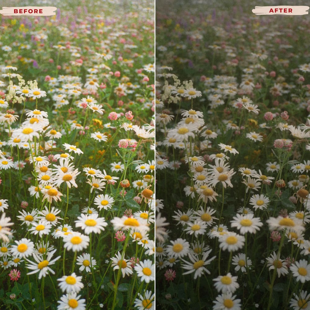 Ai-Optimized 1960's VINTAGE LIGHTROOM PRESETS