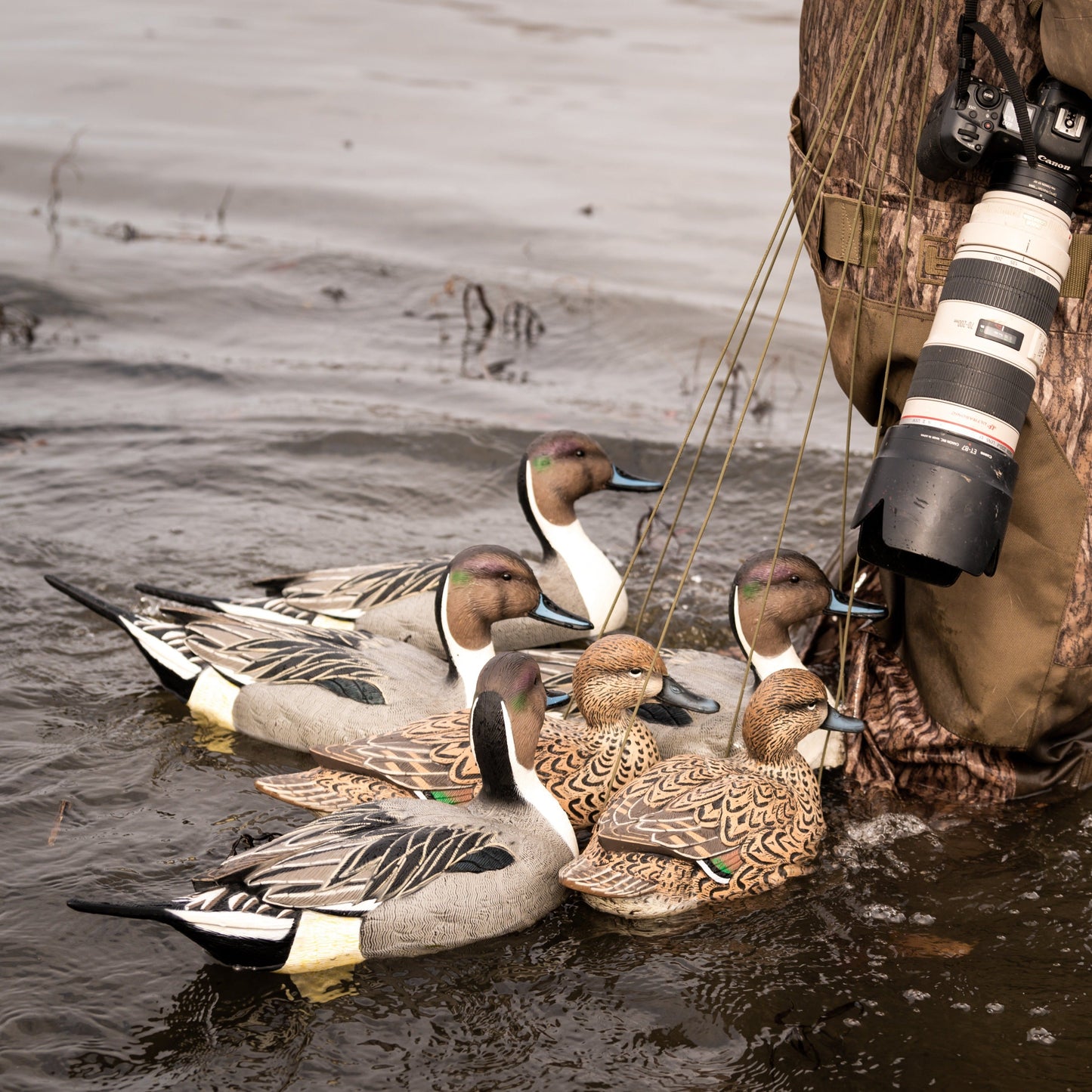 F1 Pintail Floaters