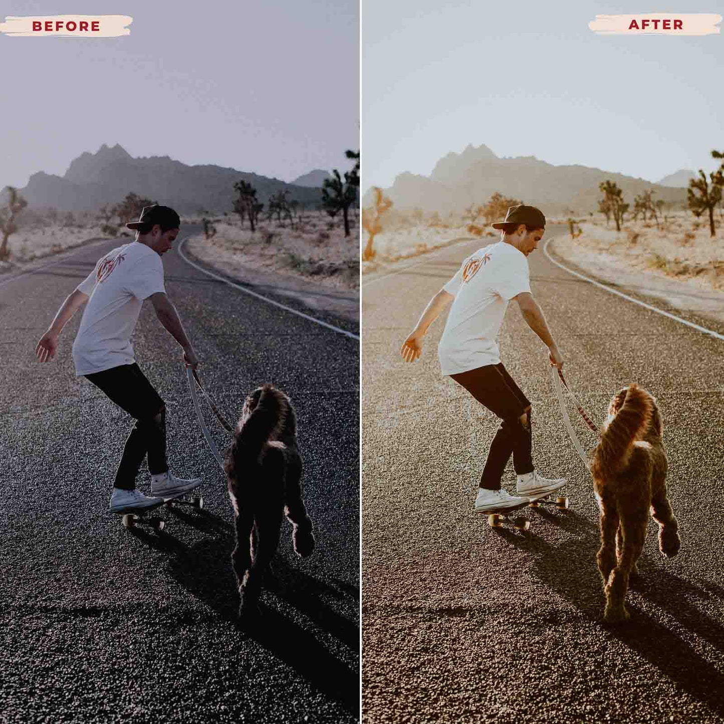 VINTAGE DREAM LIGHTROOM PRESETS from 123presets