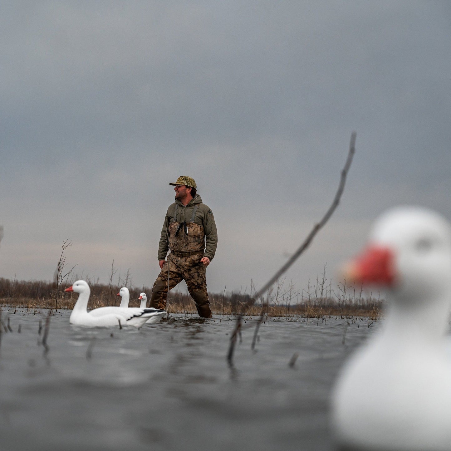 F1 Snow Goose Floaters