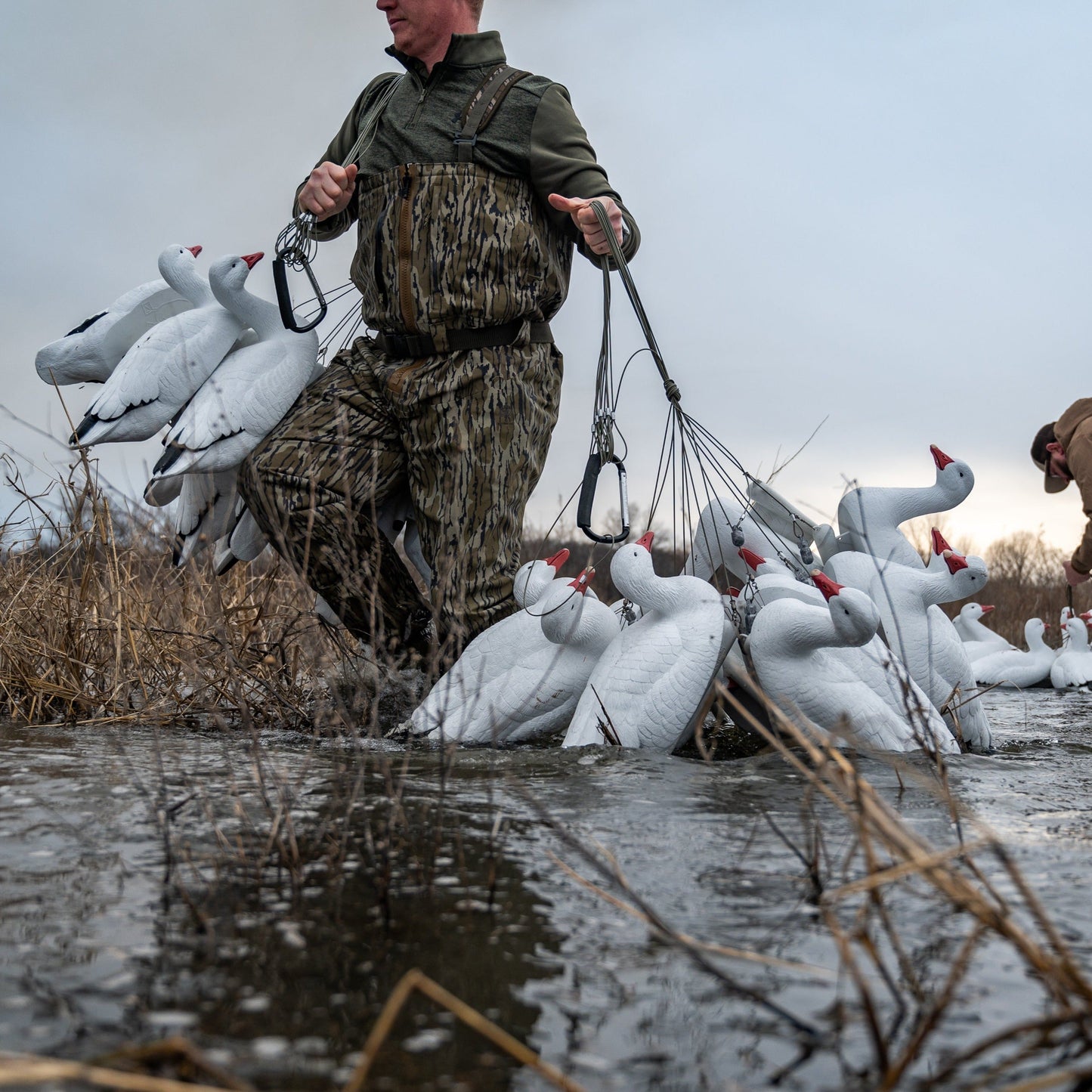 F1 Snow Goose Floaters