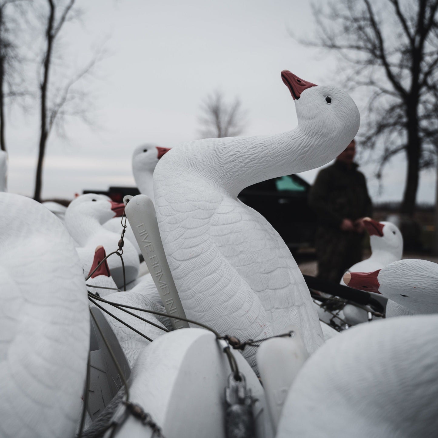 F1 Snow Goose Floaters