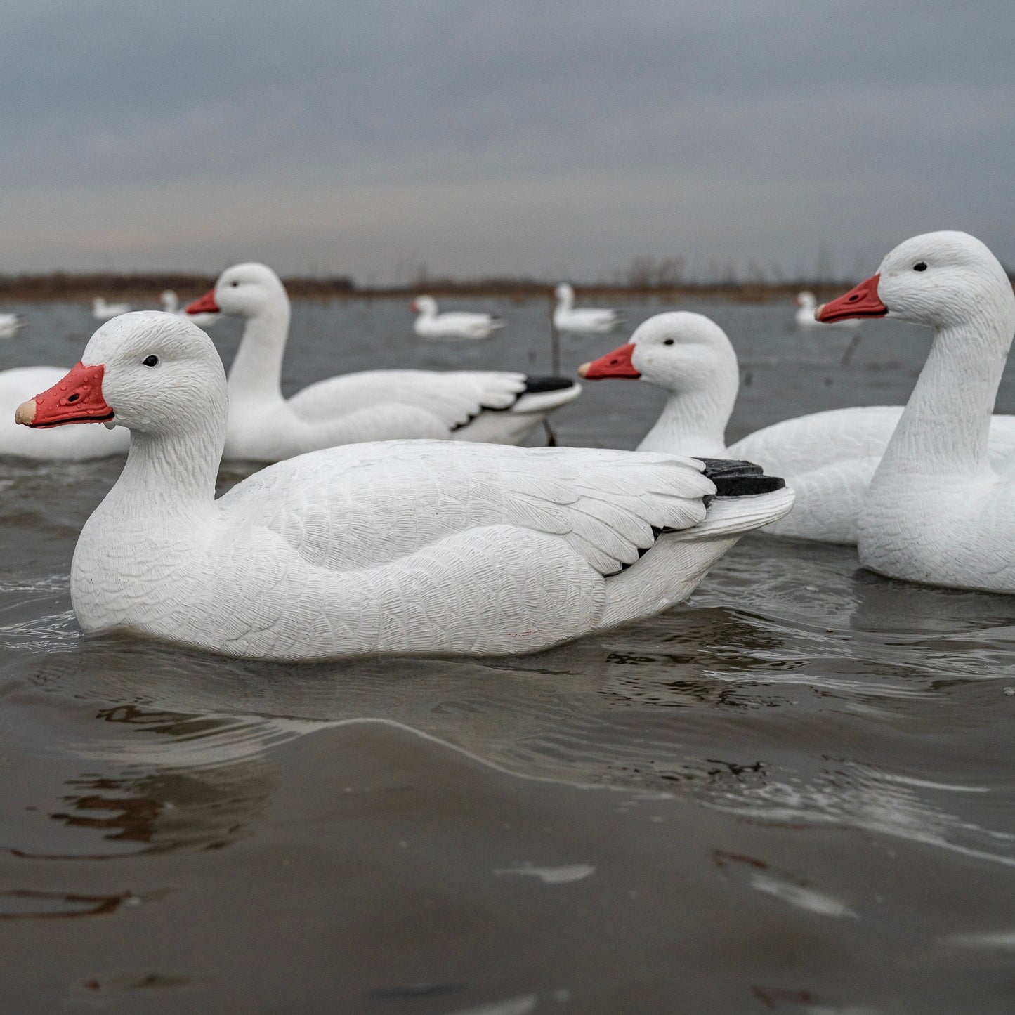 F1 Snow Goose Floaters