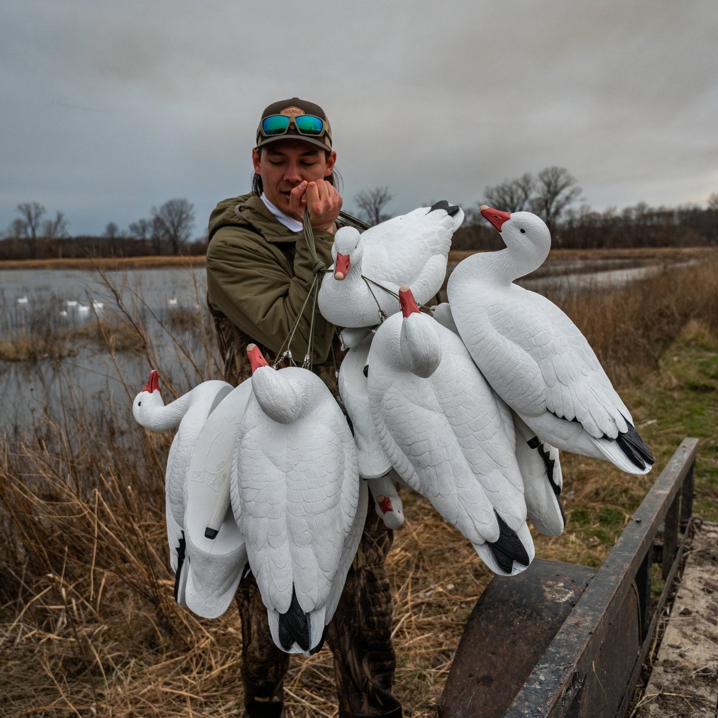 F1 Snow Goose Floaters