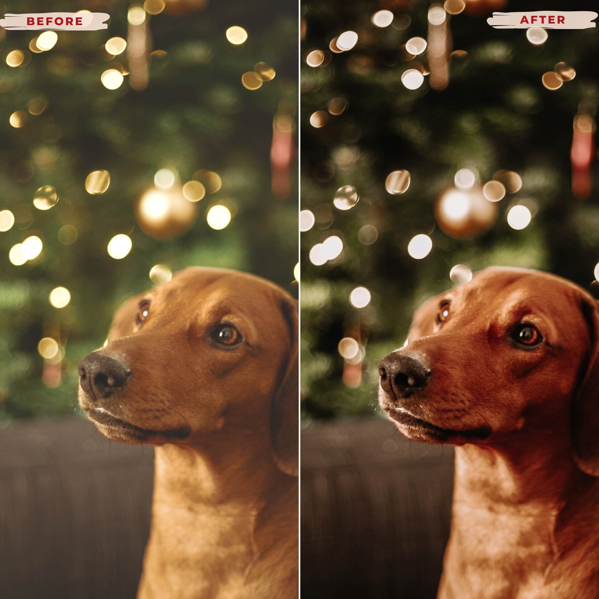 Ai-Optimized FESTIVE LIGHTS LIGHTROOM PRESETS