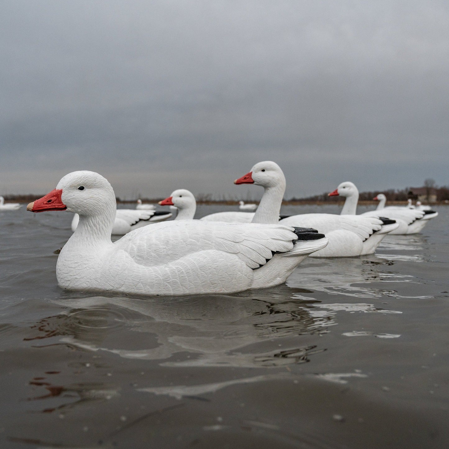 F1 Snow Goose Floaters