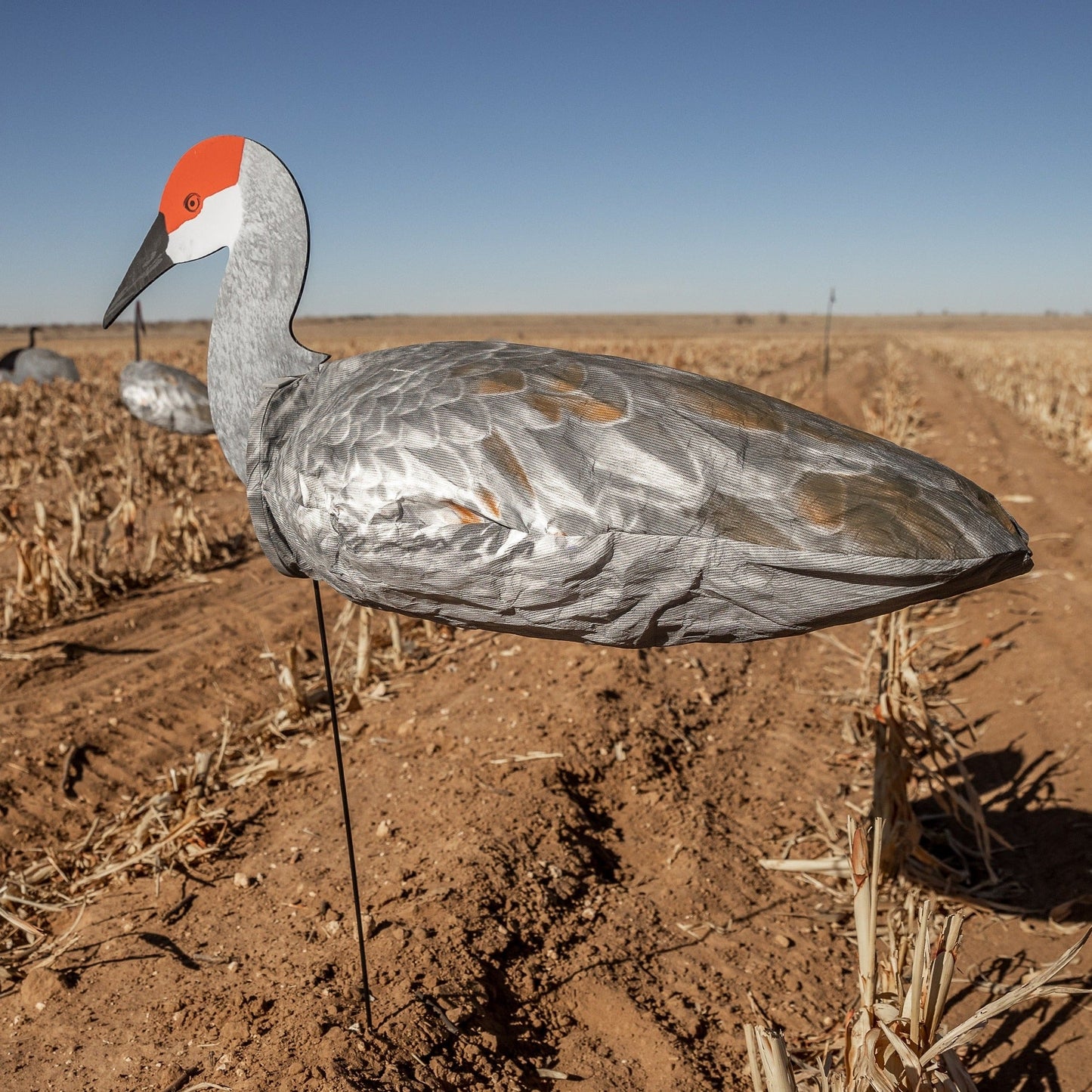 S3i Sandhill Crane Socks