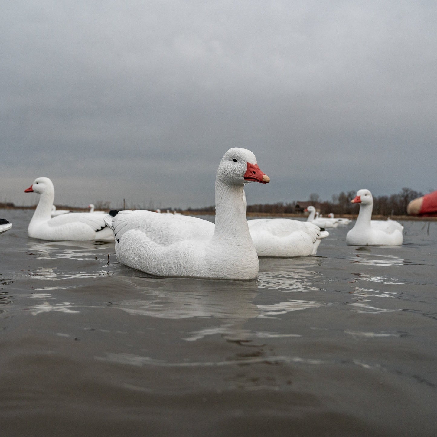 F1 Snow Goose Floaters