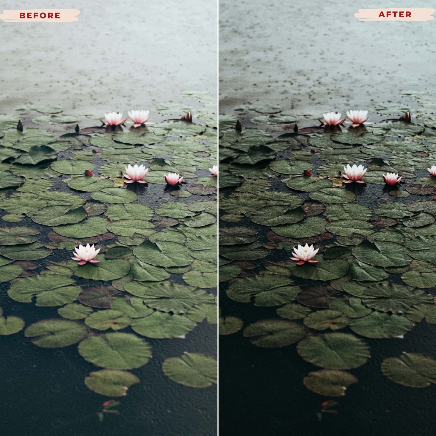 Ai-Optimized ADVENTURE AWAITS LIGHTROOM PRESETS