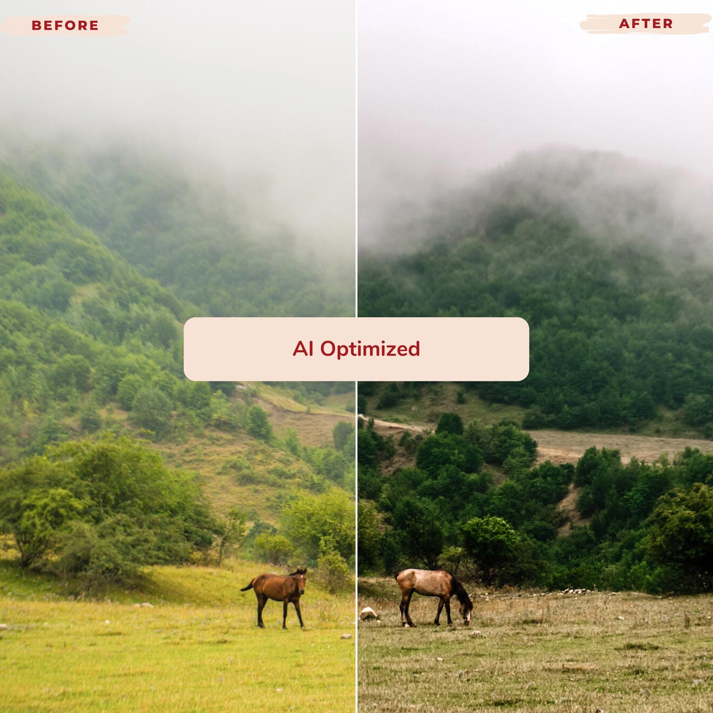 Ai-Optimized ADVENTURE AWAITS LIGHTROOM PRESETS