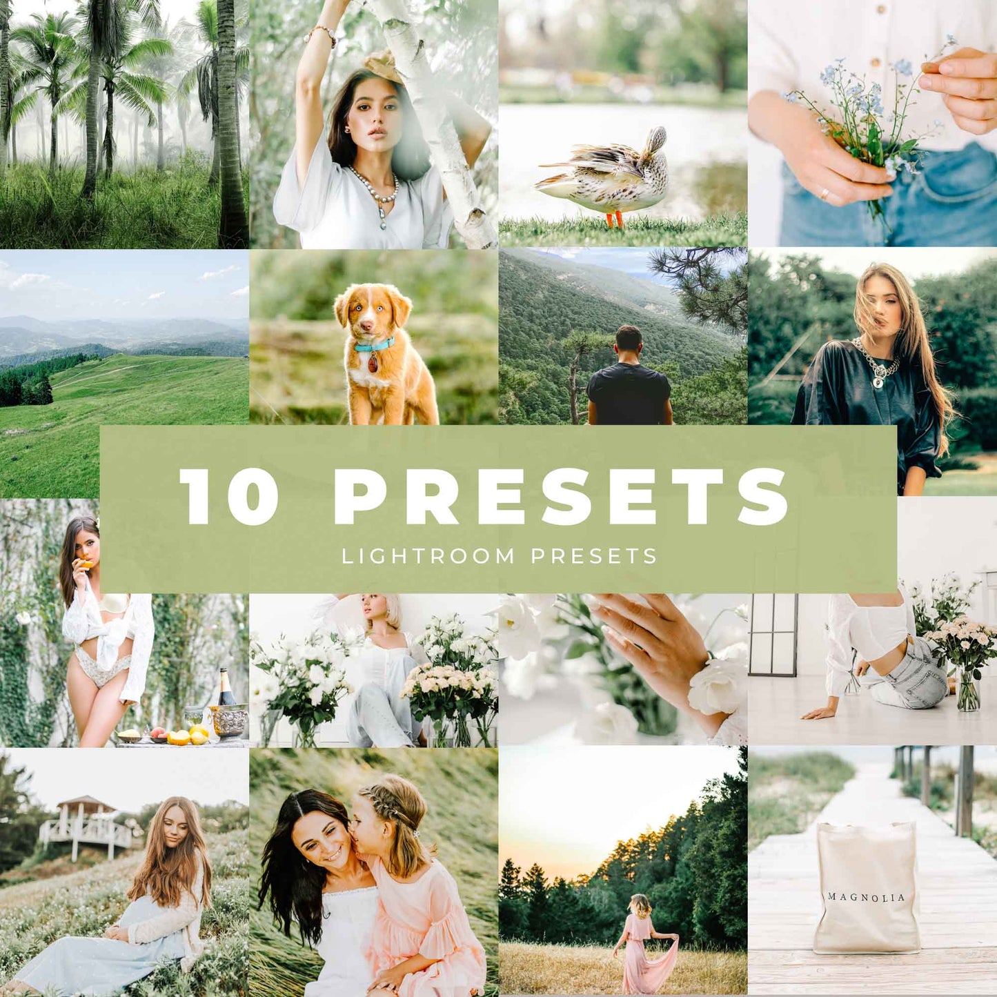 Ai-Optimized AIRY GREEN LIGHTROOM PRESETS