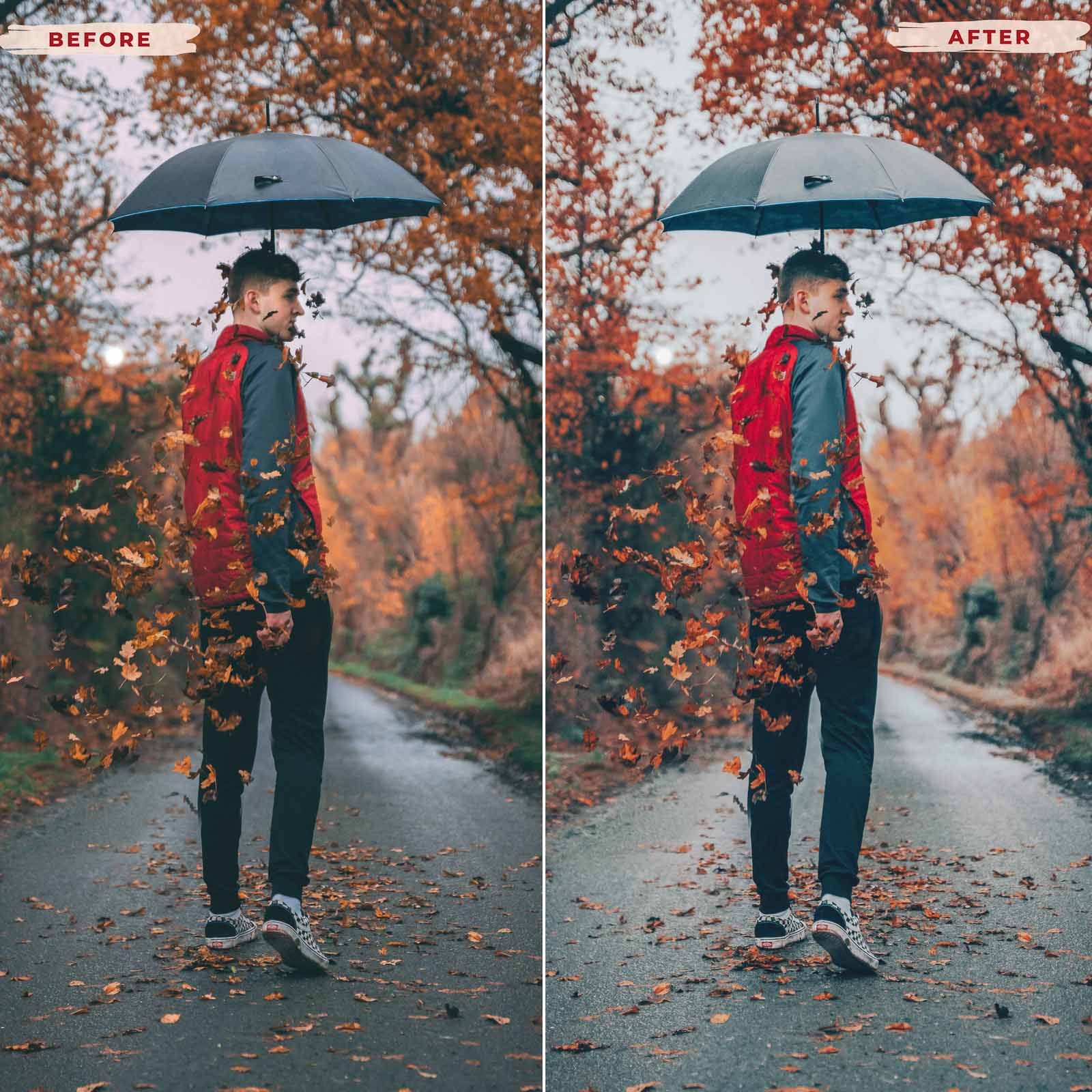 Ai-Optimized AUTUMN LEAVES LIGHTROOM PRESETS