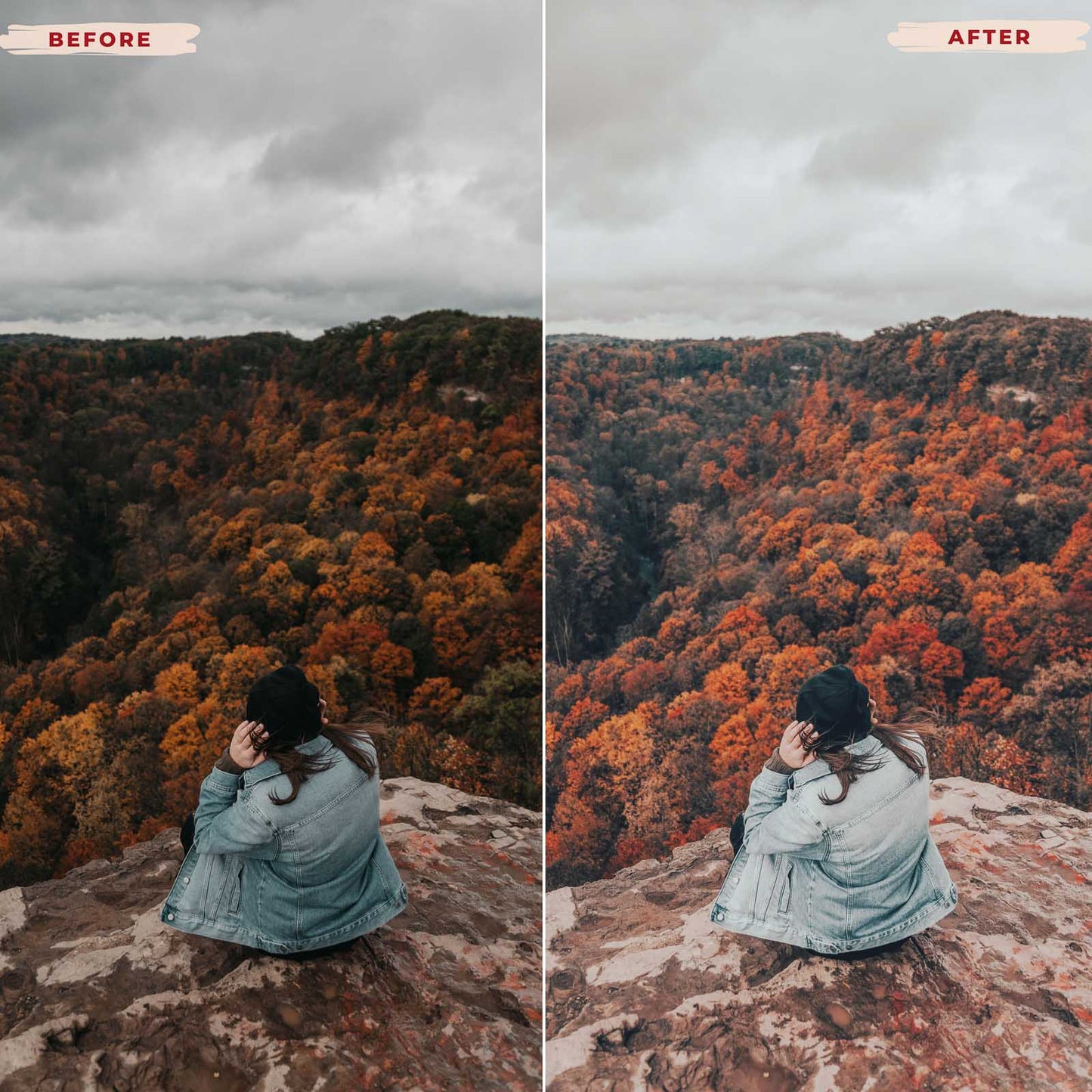 Ai-Optimized AUTUMN LEAVES LIGHTROOM PRESETS