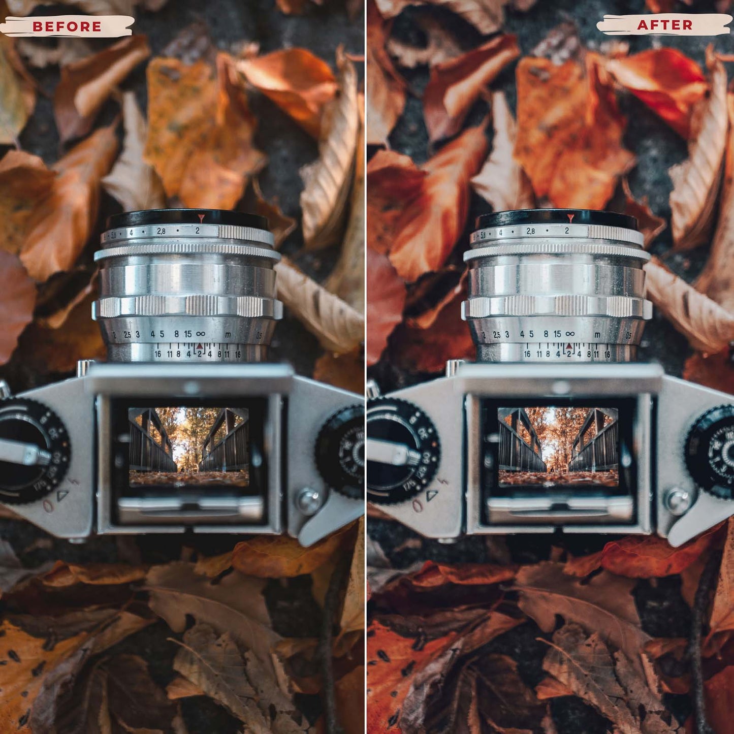 Ai-Optimized AUTUMN LEAVES LIGHTROOM PRESETS