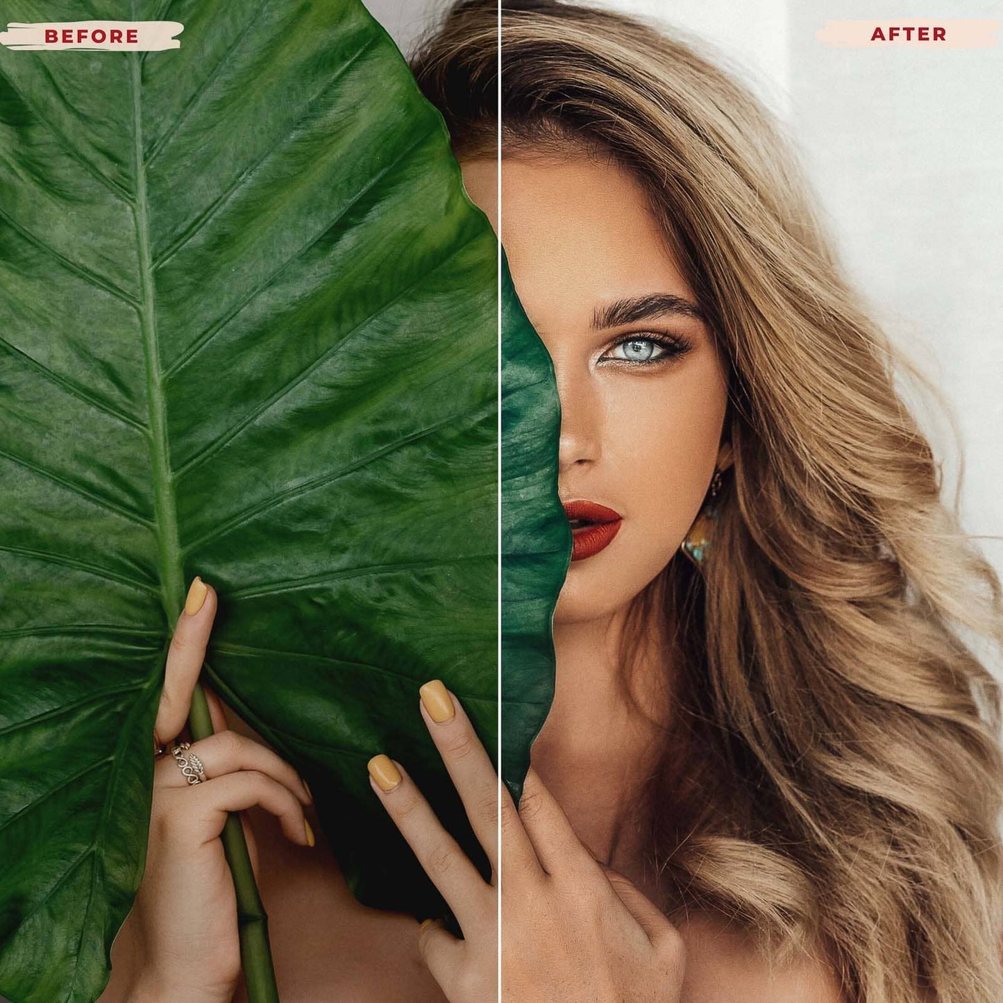 AVOCADO LIGHTROOM PRESETS from 123presets