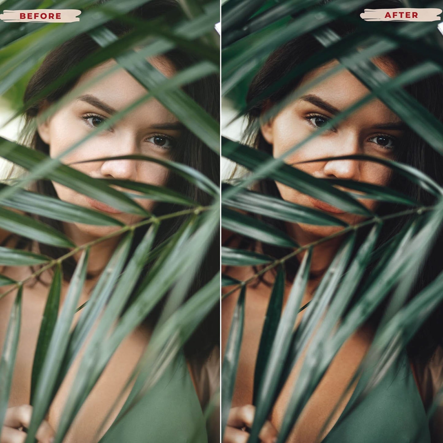 AVOCADO LIGHTROOM PRESETS from 123presets