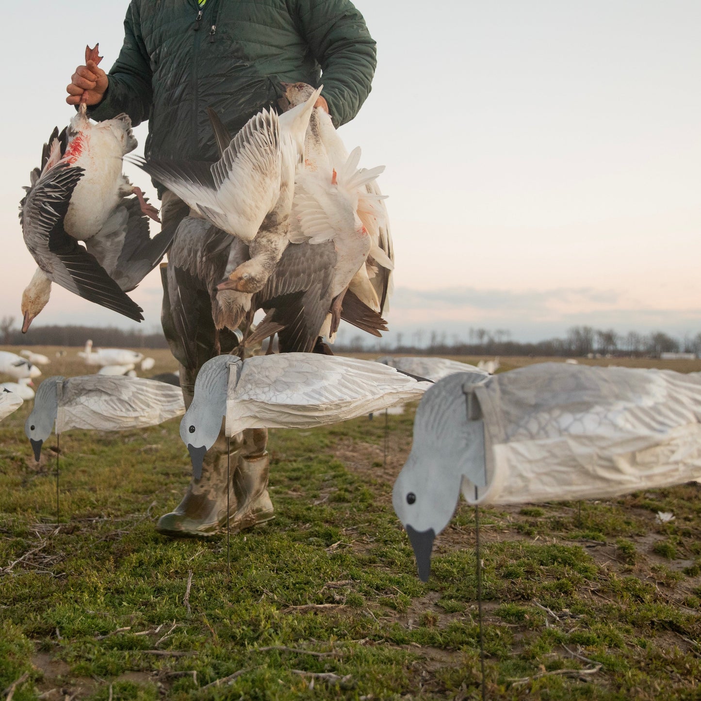 S3i Juvie Goose Socks