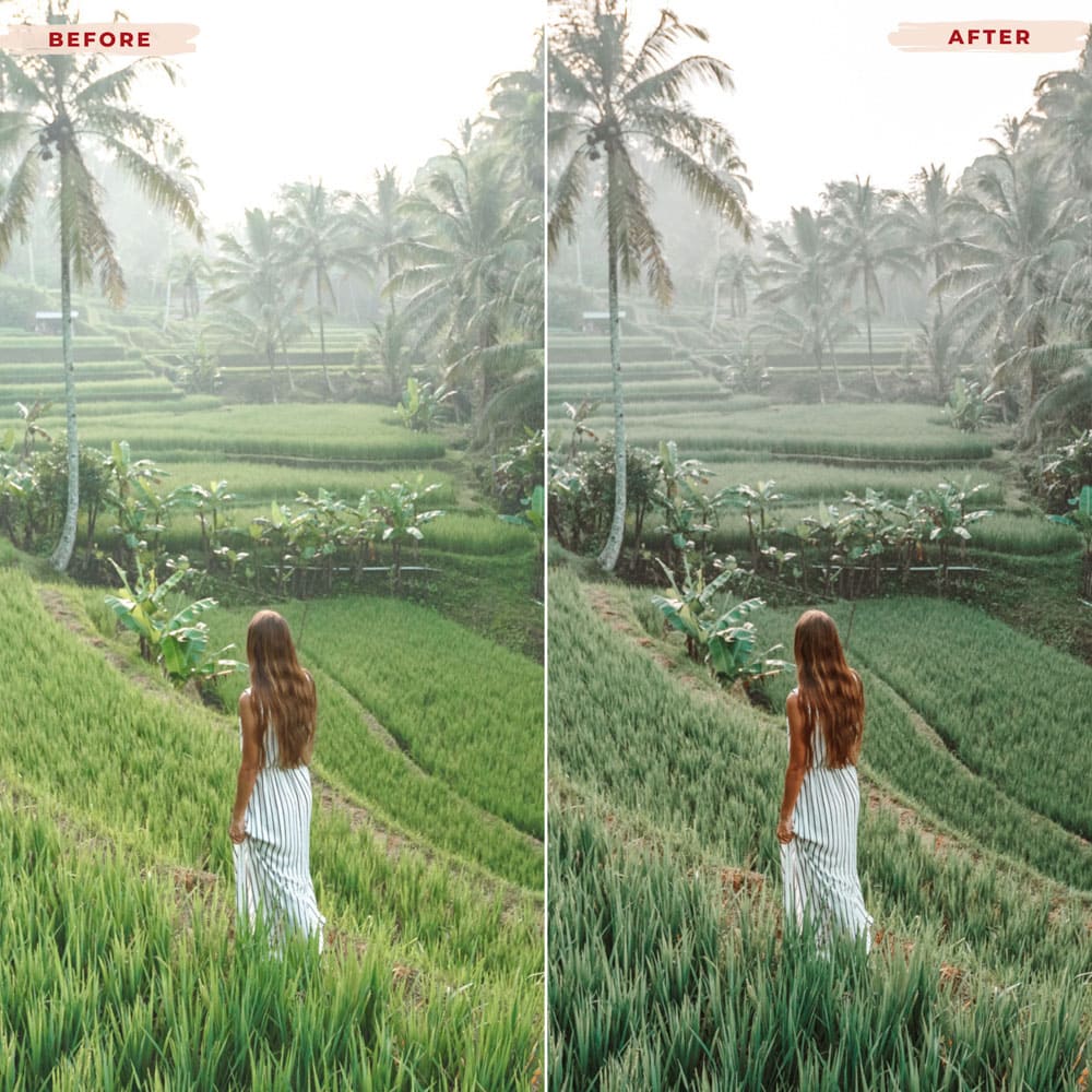 Ai-Optimized BALI BREEZE LIGHTROOM PRESETS