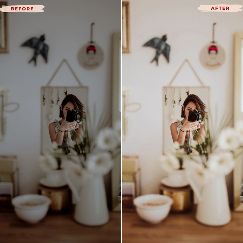 Ai-Optimized BOHO BABE LIGHTROOM PRESETS