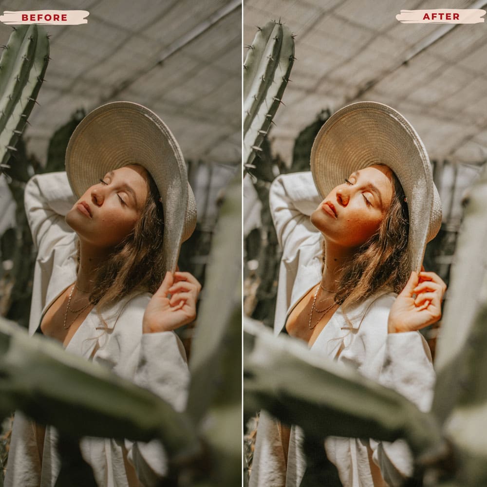 Ai-Optimized BOHO GLOW LIGHTROOM PRESETS