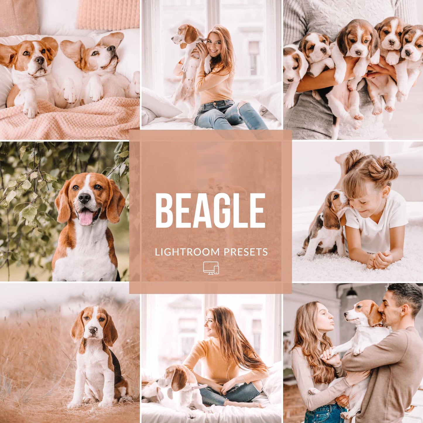 Ai-Optimized BEAGLE LIGHTROOM PRESETS