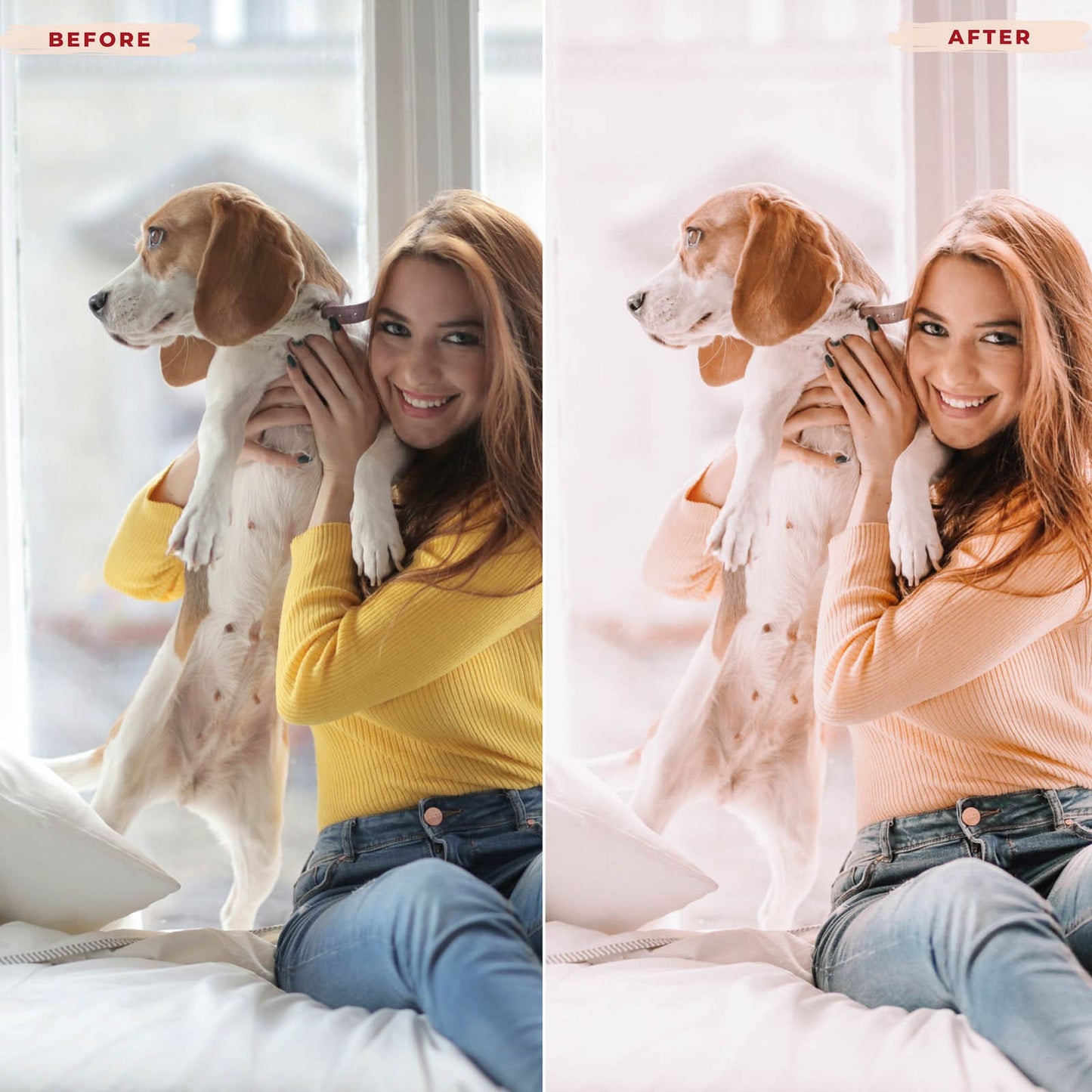 Ai-Optimized BEAGLE LIGHTROOM PRESETS