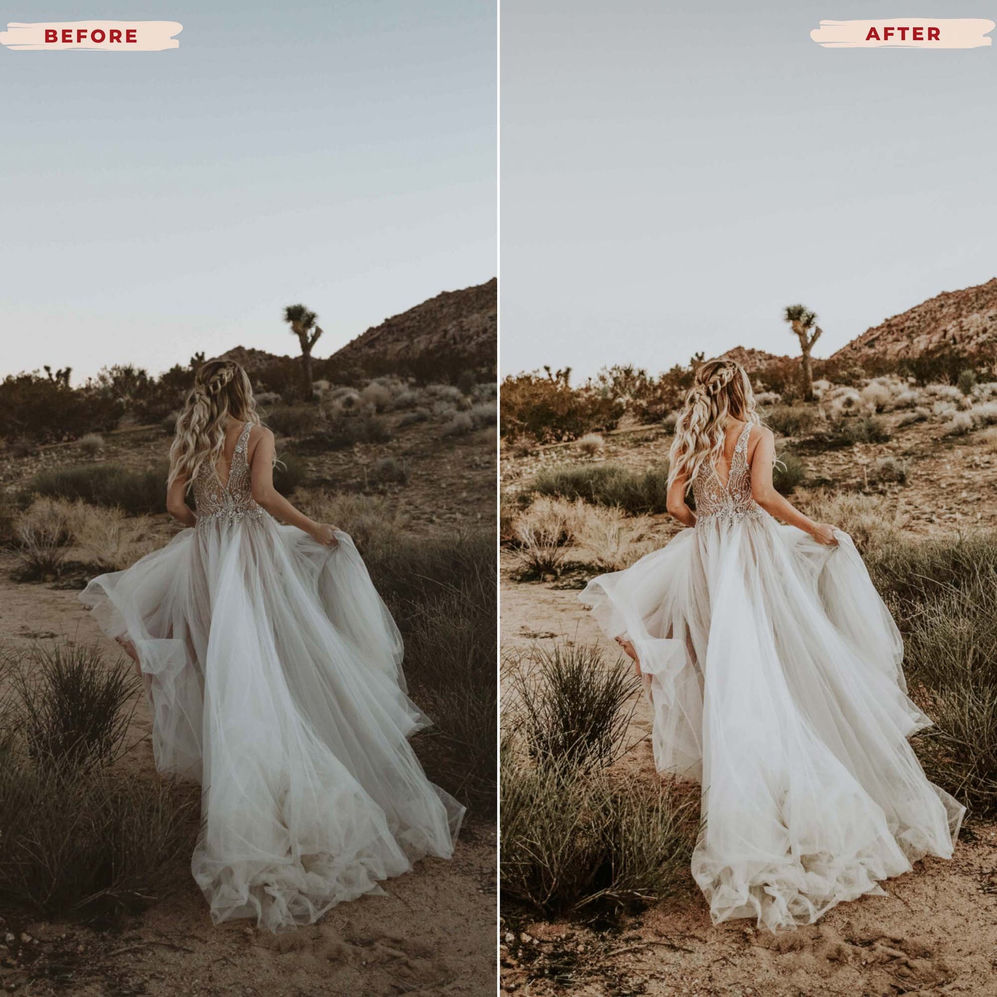 Ai-Optimized BOHEMIAN DREAM LIGHTROOM PRESETS