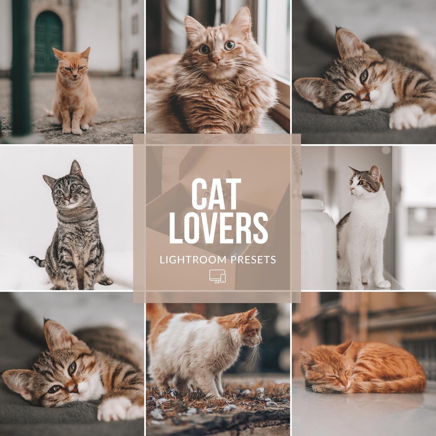 Ai-Optimized CAT LOVERS LIGHTROOM PRESETS