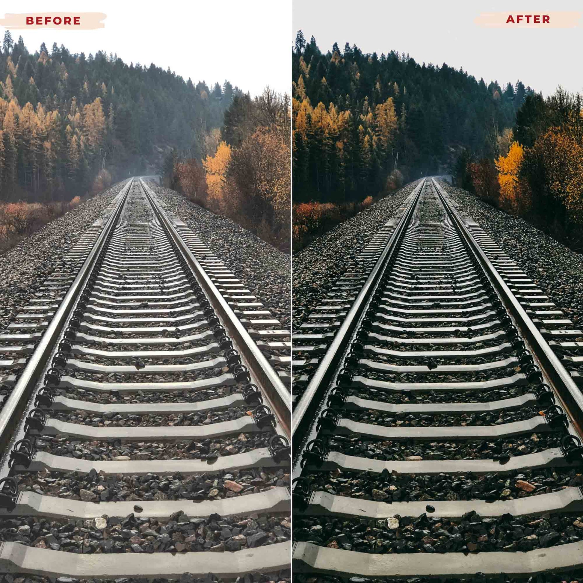 Ai-Optimized CINEMA EVERYDAY LIGHTROOM PRESETS