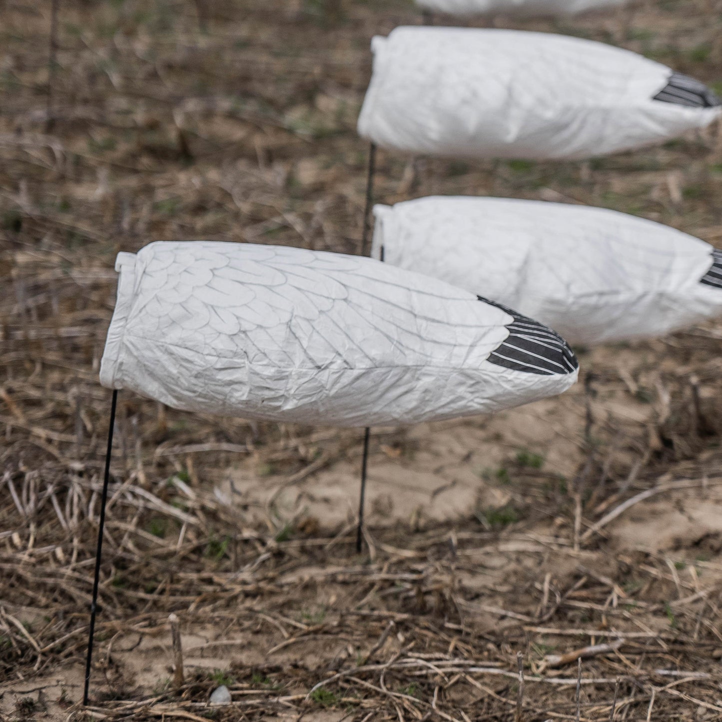 S3HL (Headless) Snow Goose Socks