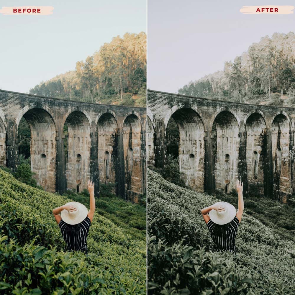 Ai-Optimized DEEP GREEN LIGHTROOM PRESETS