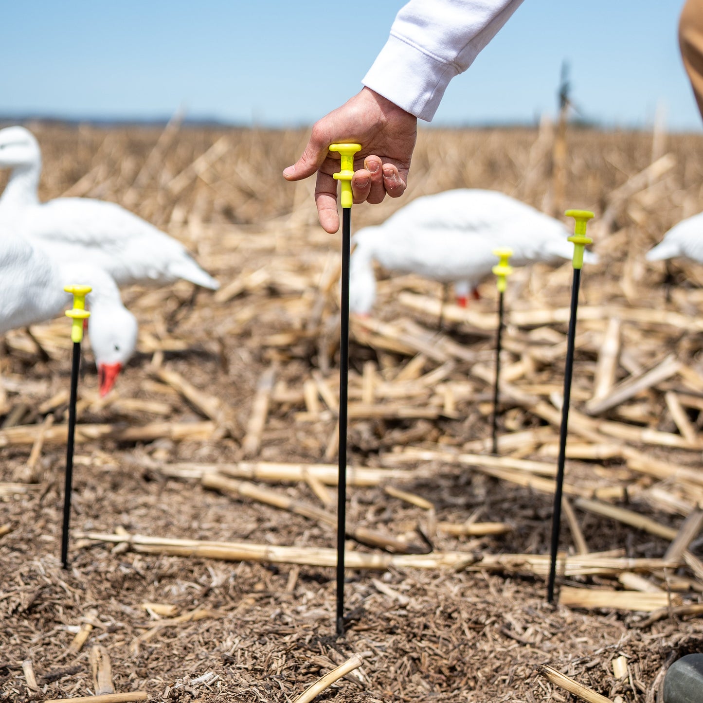 Full Body Decoy Stakes, 22" and 36", 1 dz