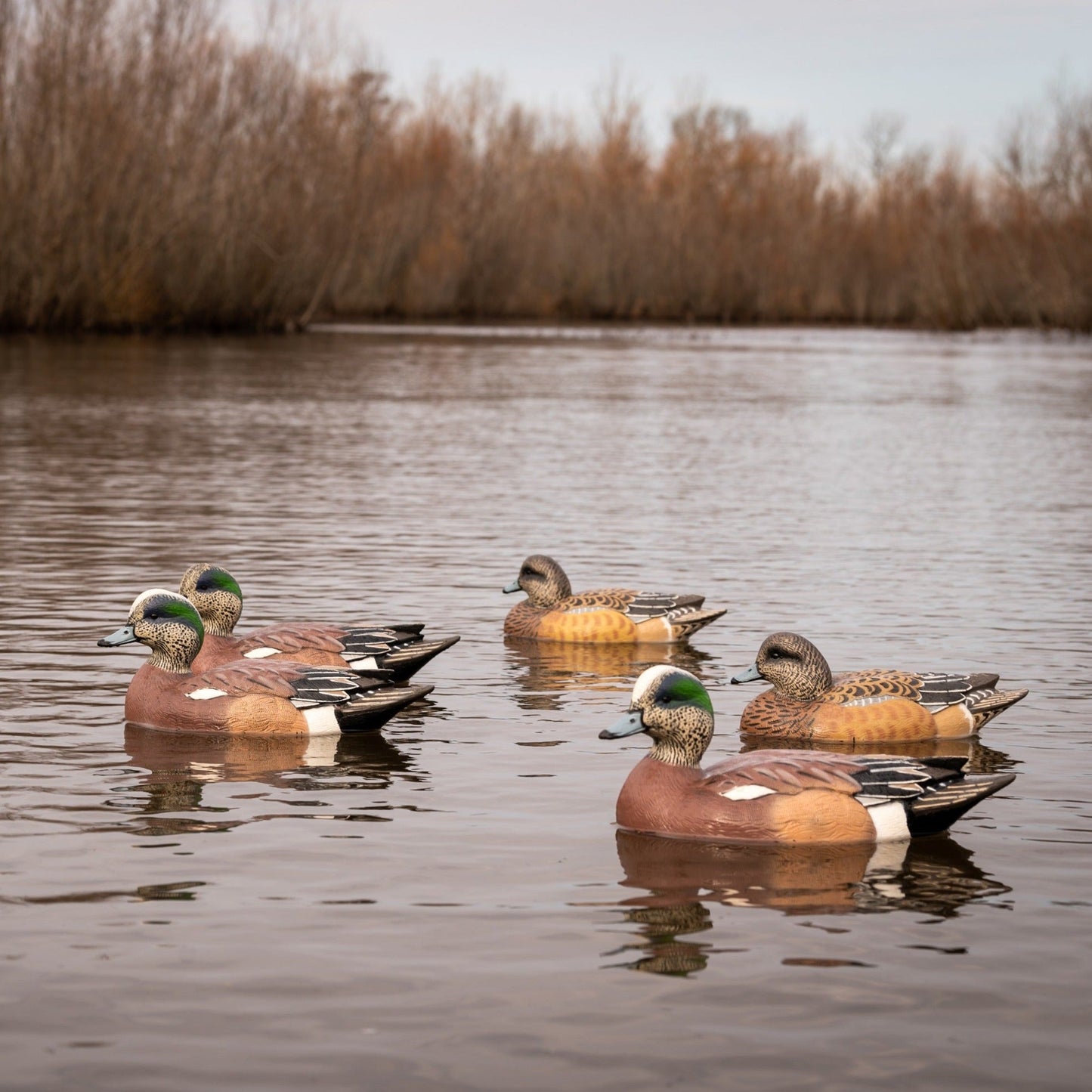 F1 Wigeon Floaters