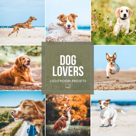 Ai-Optimized DOG LOVERS LIGHTROOM PRESETS