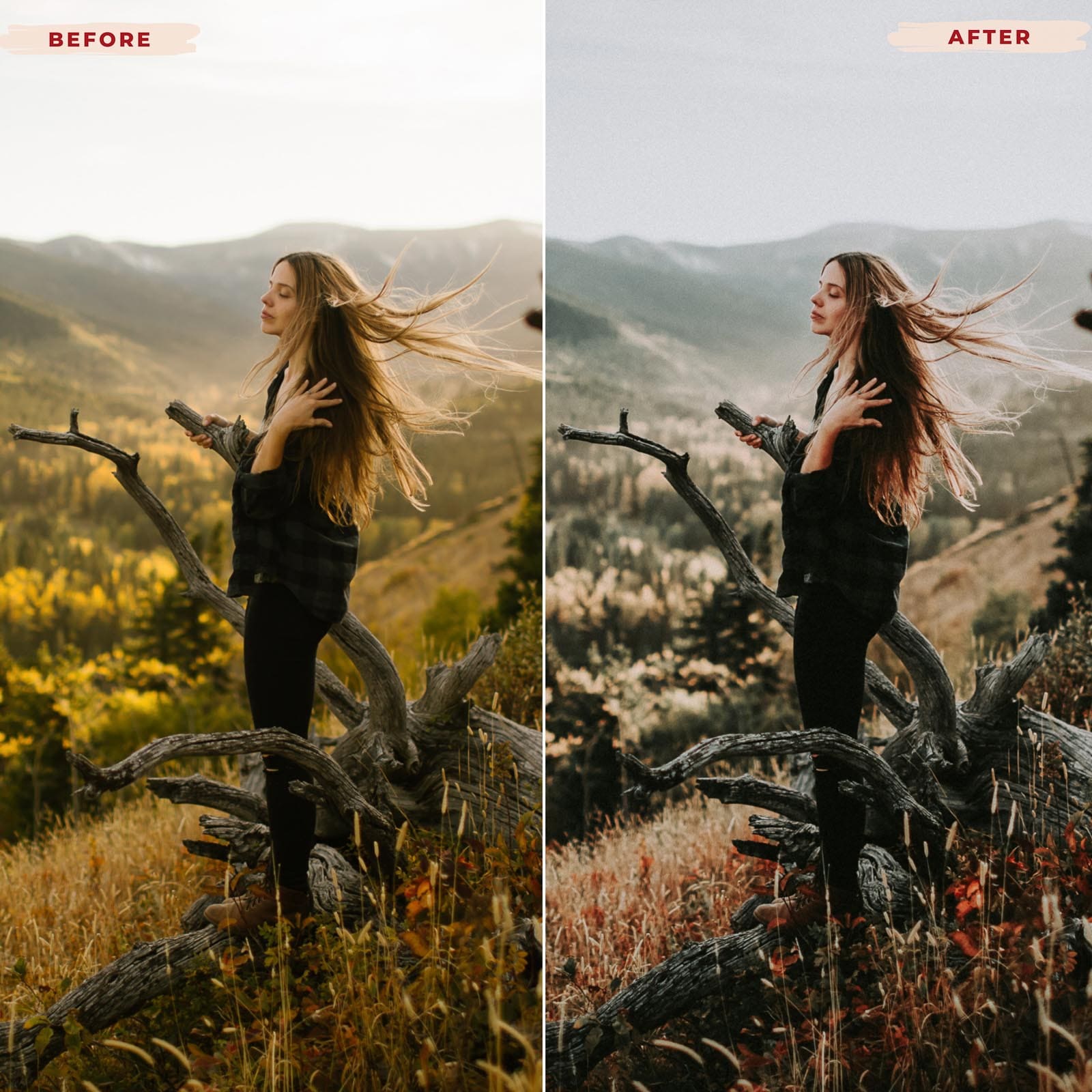 Ai-Optimized EARTH TONES AI-OPTIMIZED LIGHTROOM PRESETS