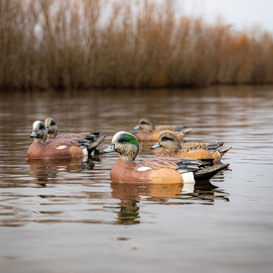 F1 Wigeon Floaters