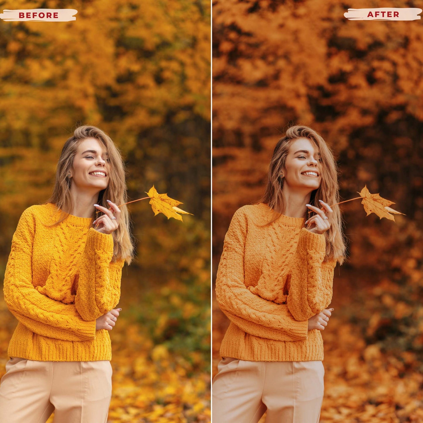 Ai-Optimized FALL VIBES II LIGHTROOM PRESETS