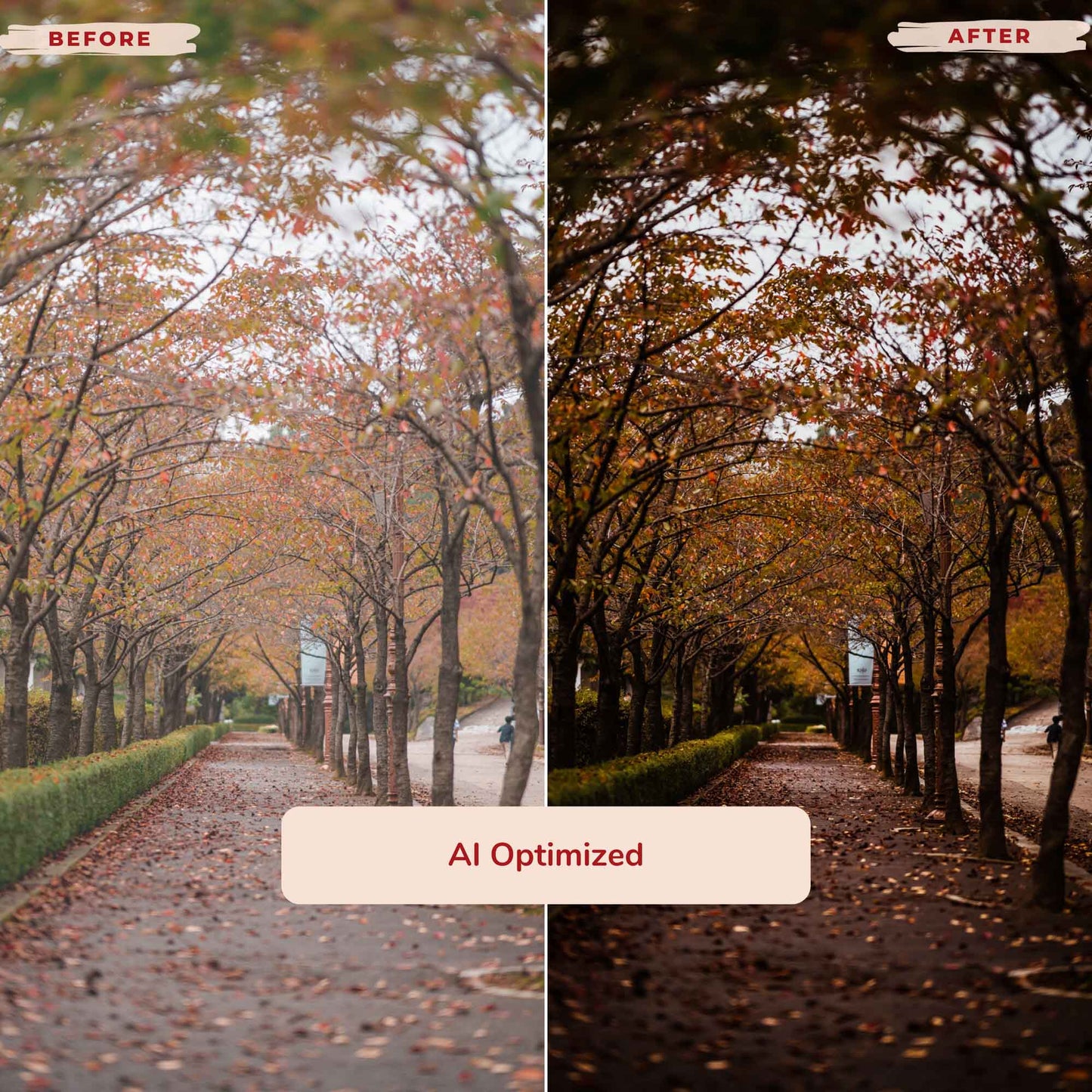 Ai-Optimized FALL SERENITY LIGHTROOM PRESETS