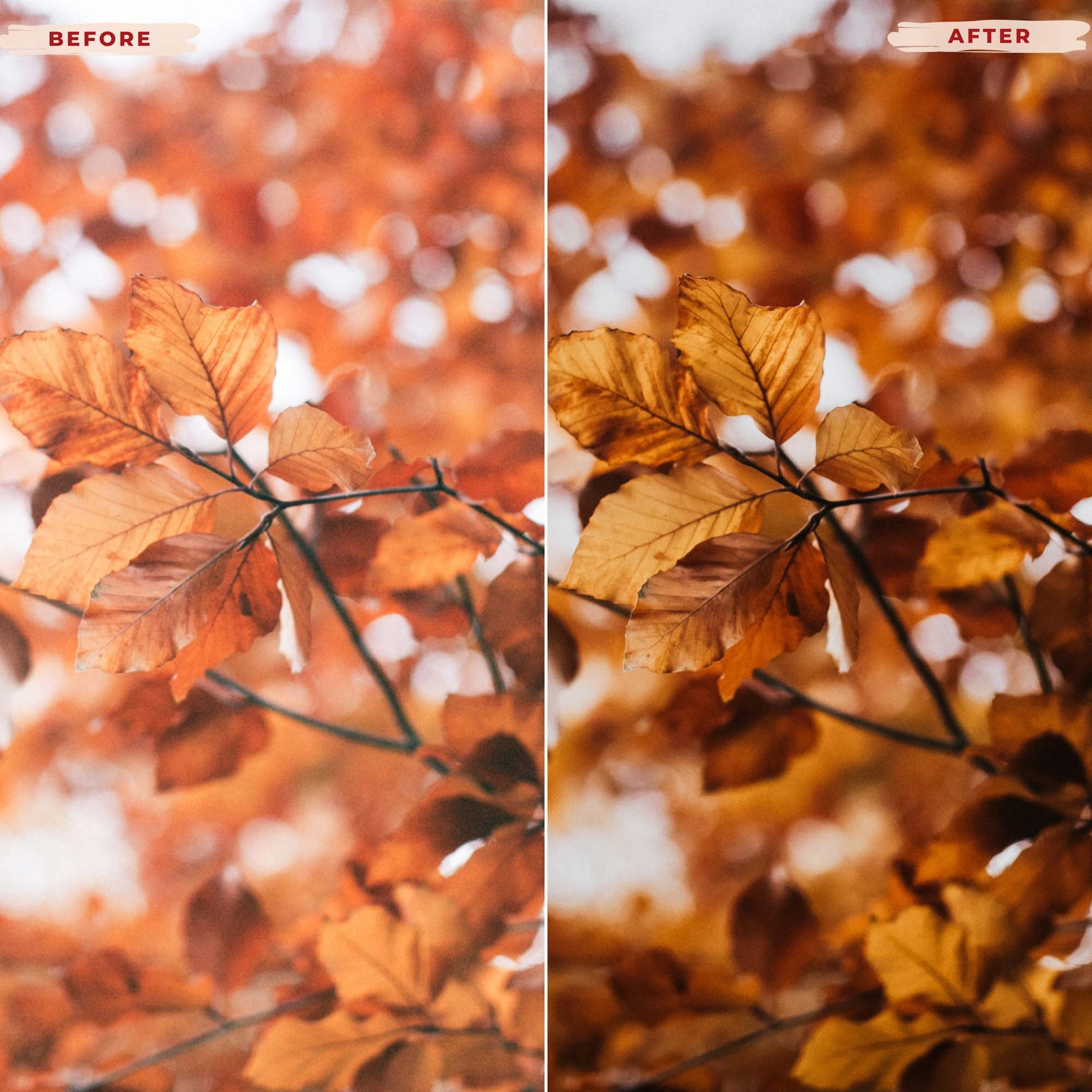 Ai-Optimized FALL SERENITY LIGHTROOM PRESETS