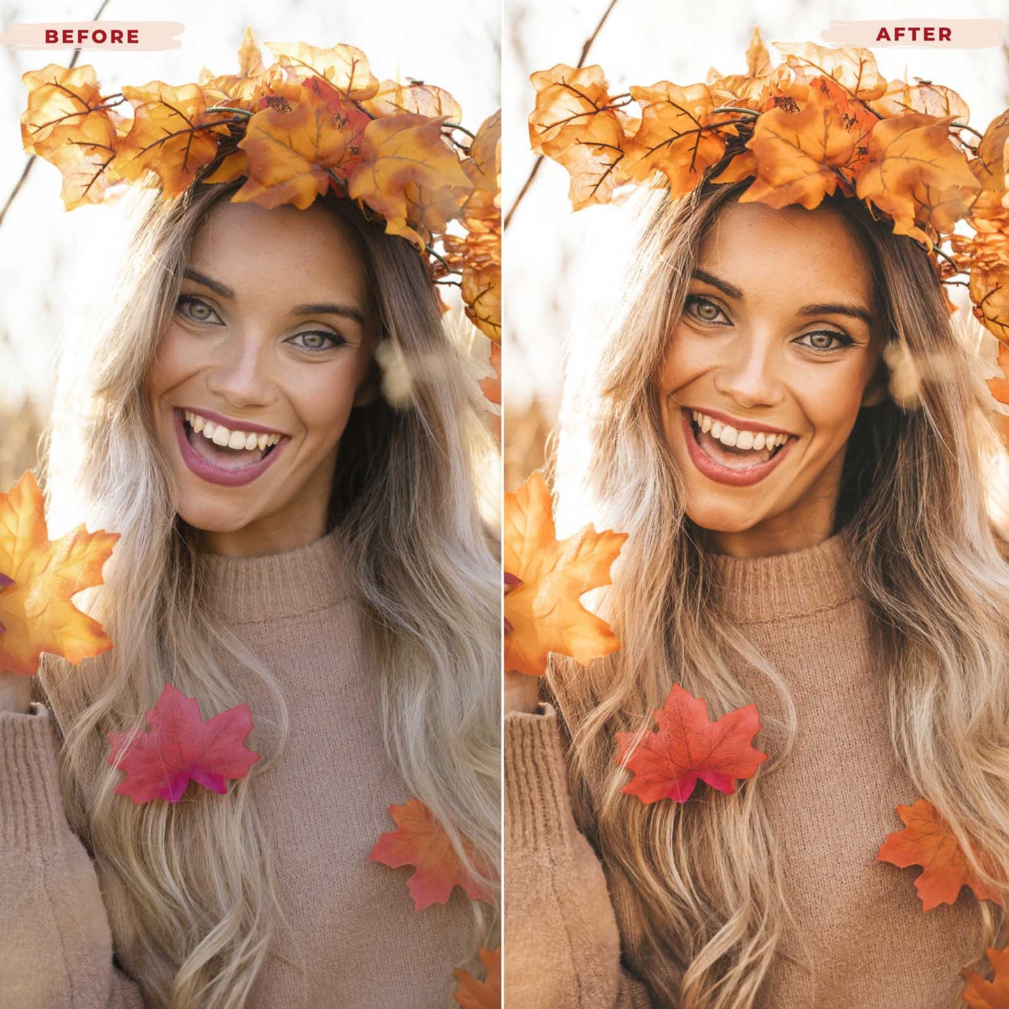 Ai-Optimized FALL VIBES LIGHTROOM PRESETS