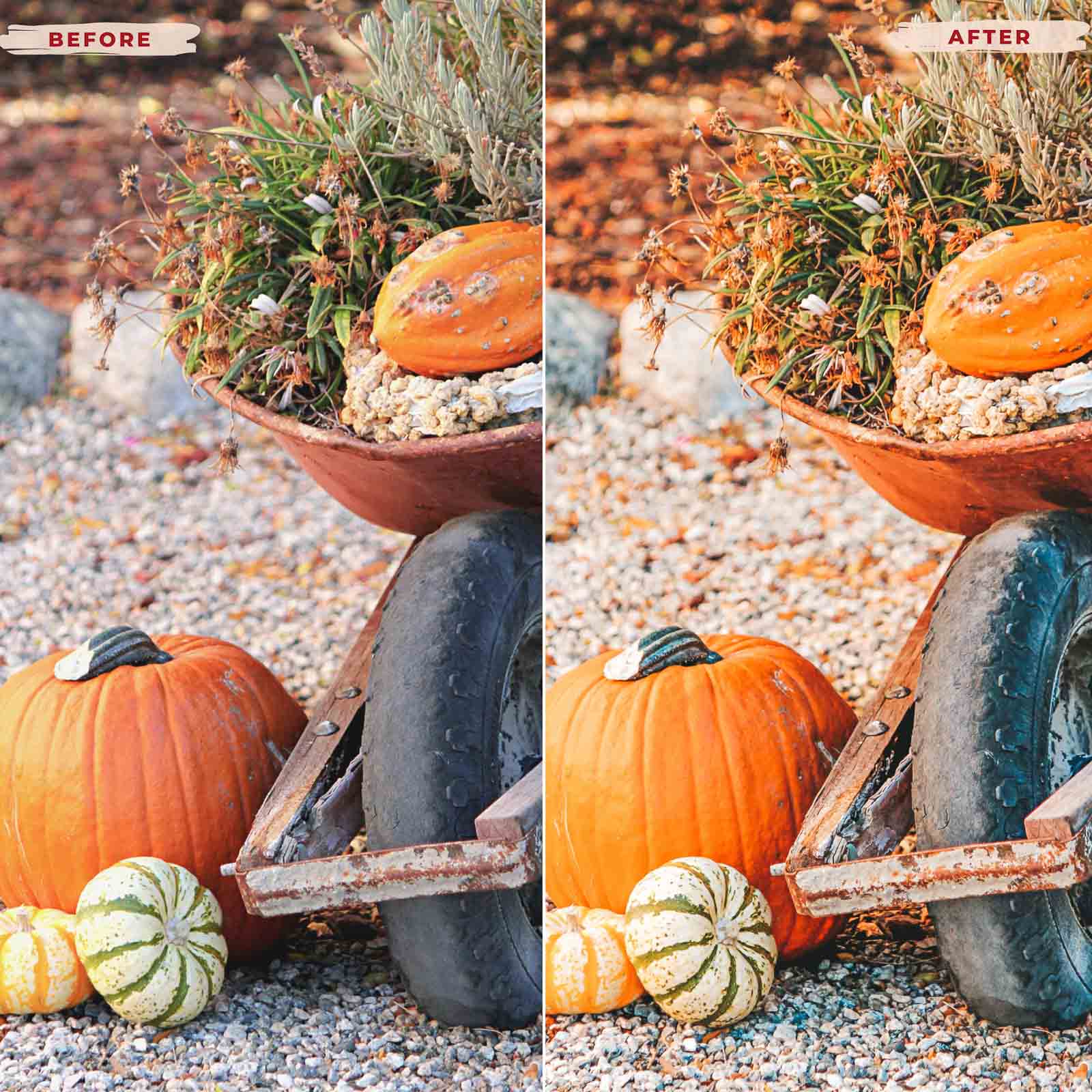 Ai-Optimized FALL VIBES LIGHTROOM PRESETS