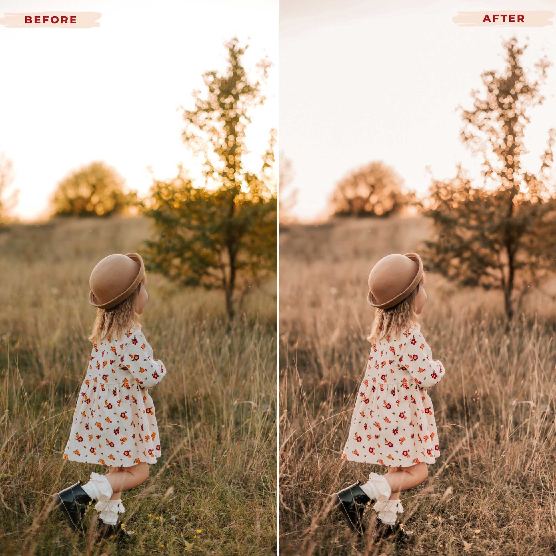 Ai-Optimized FAMILY FUN LIGHTROOM PRESETS