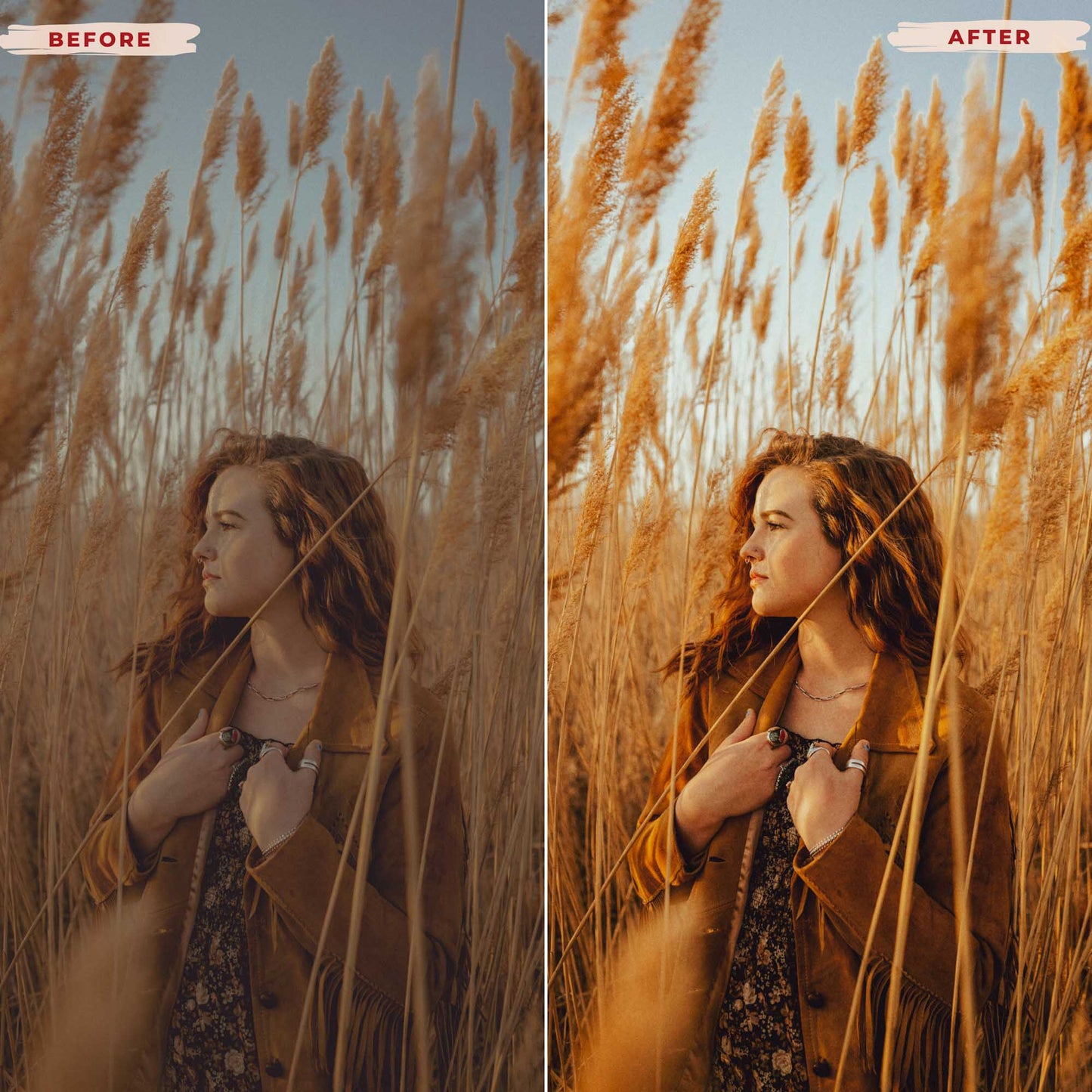 Ai-Optimized FILM II LIGHTROOM PRESETS