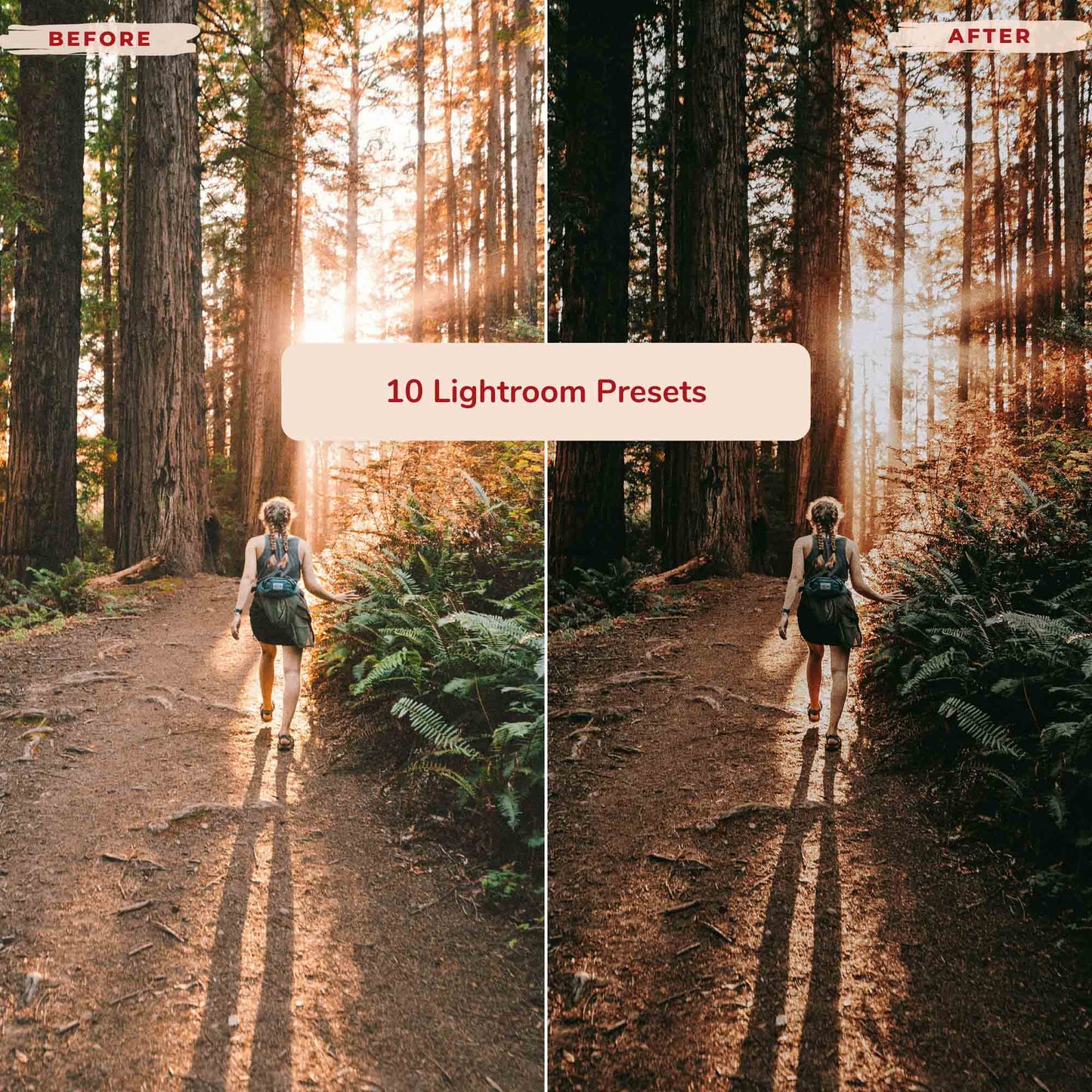 Ai-Optimized FOREST ADVENTURE AI-OPTIMIZED LIGHTROOM PRESETS