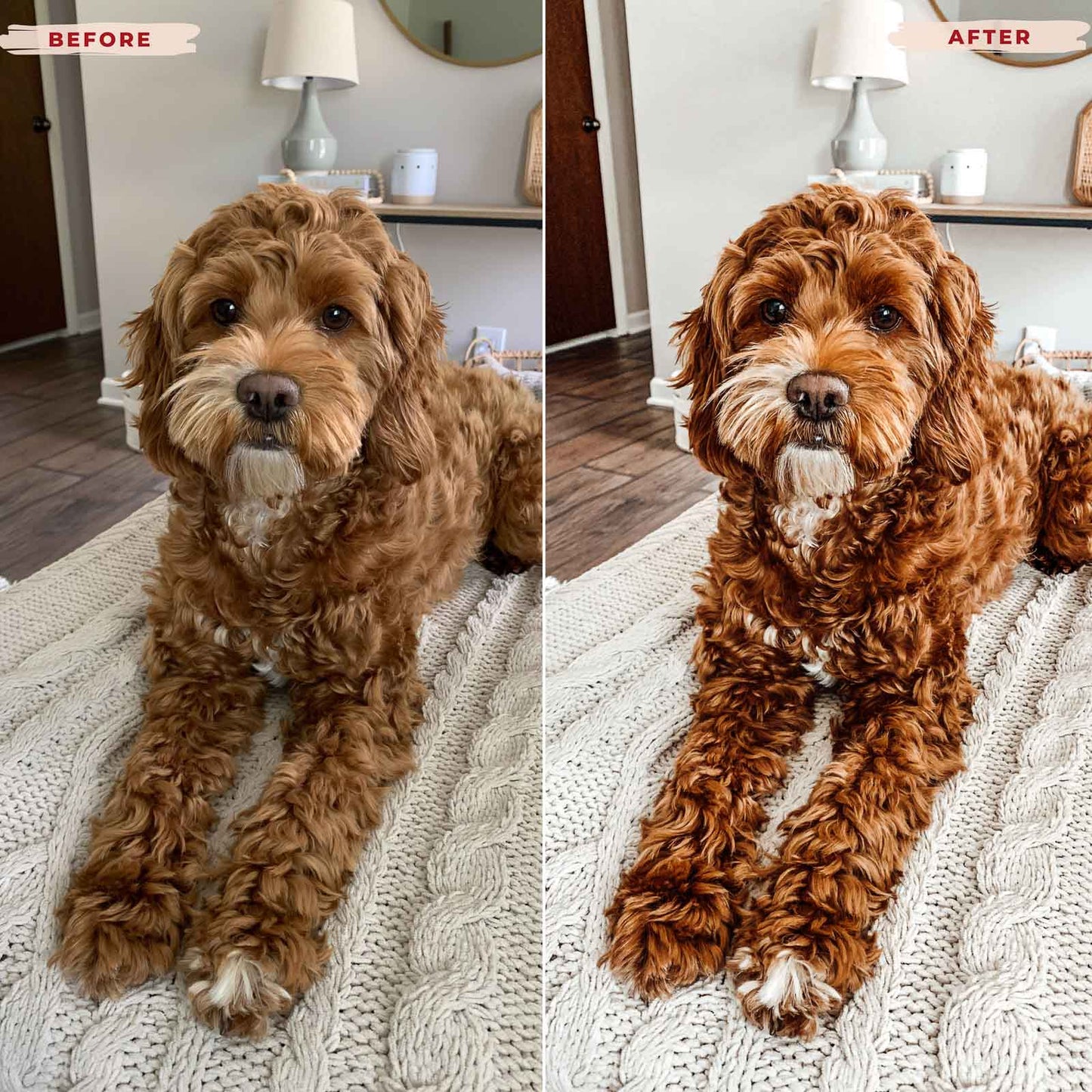 Ai-Optimized GOLDEN DOODLE LIGHTROOM PRESETS