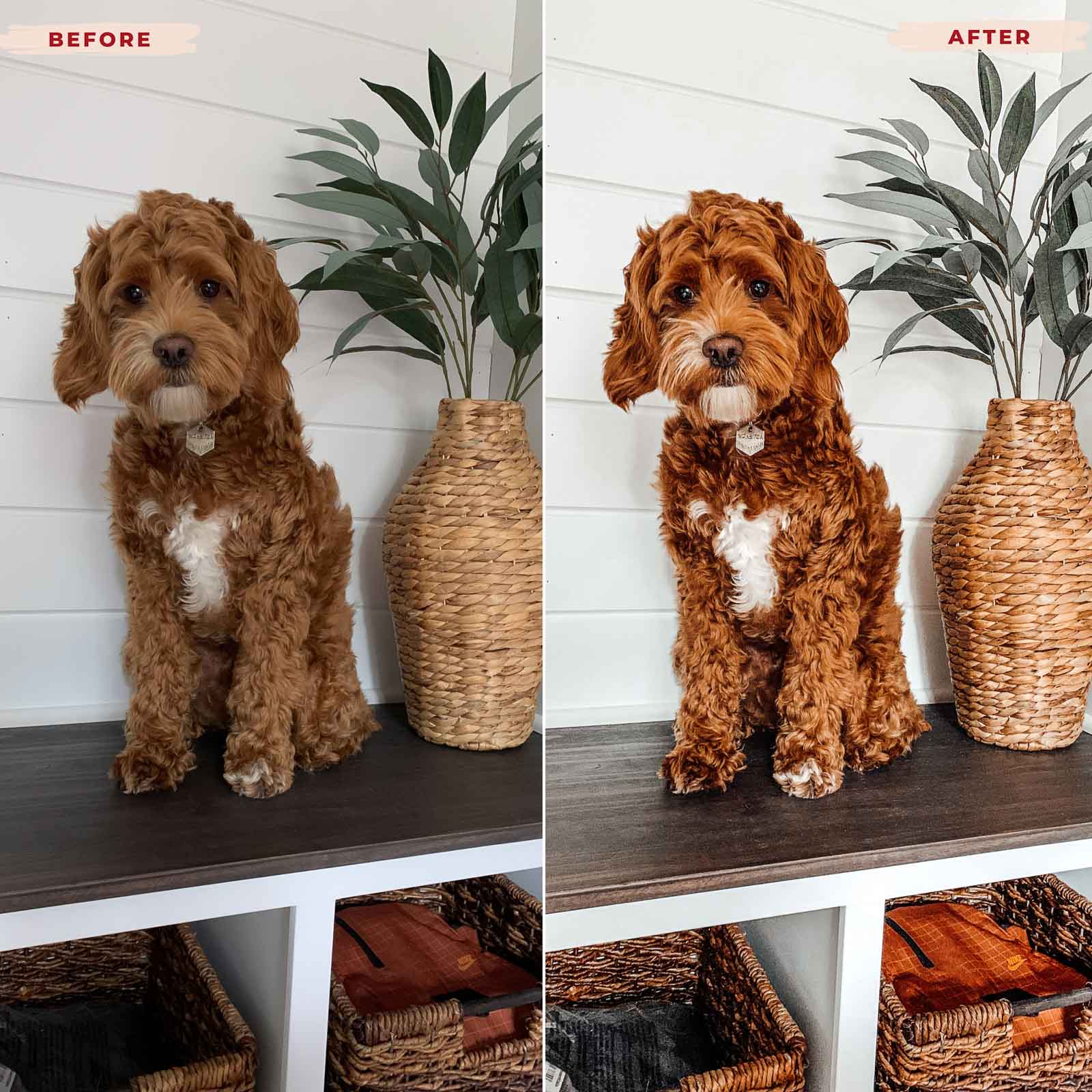 Ai-Optimized GOLDEN DOODLE LIGHTROOM PRESETS