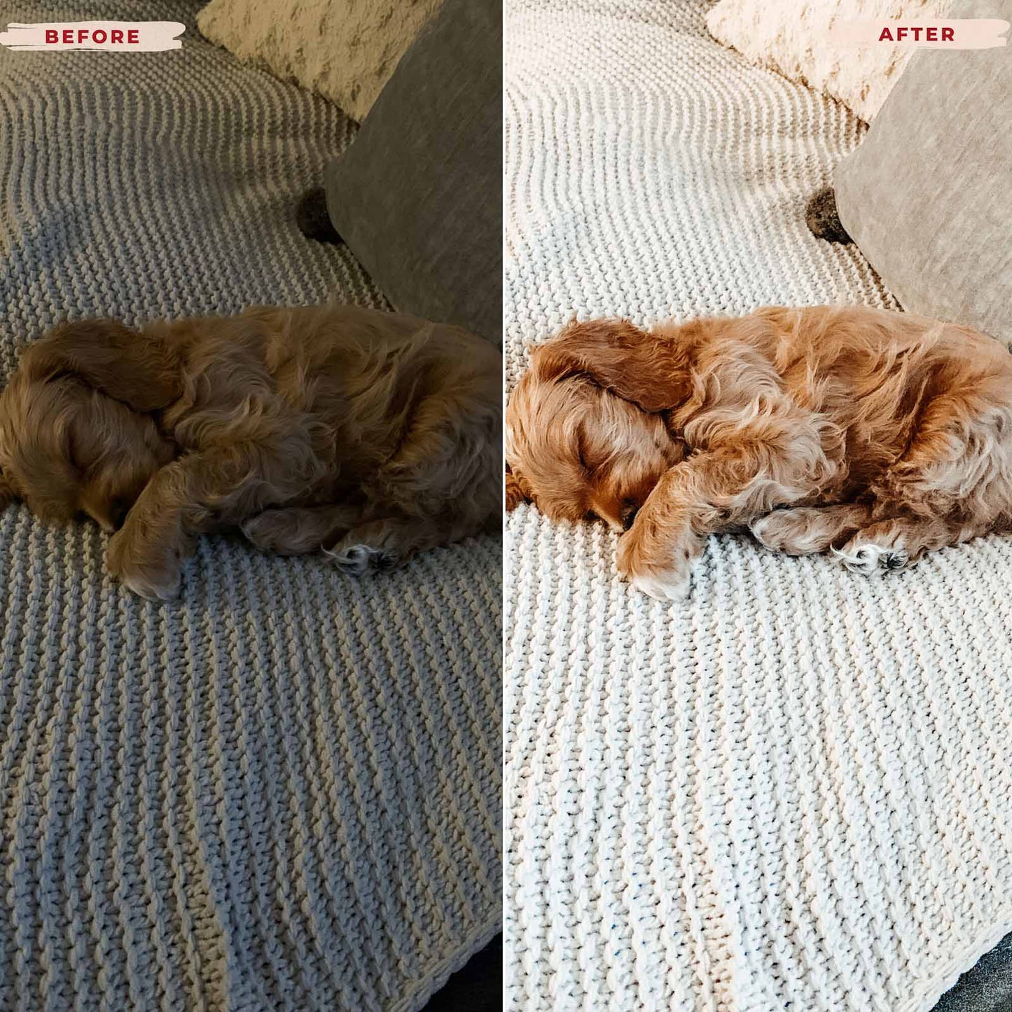 Ai-Optimized GOLDEN DOODLE LIGHTROOM PRESETS