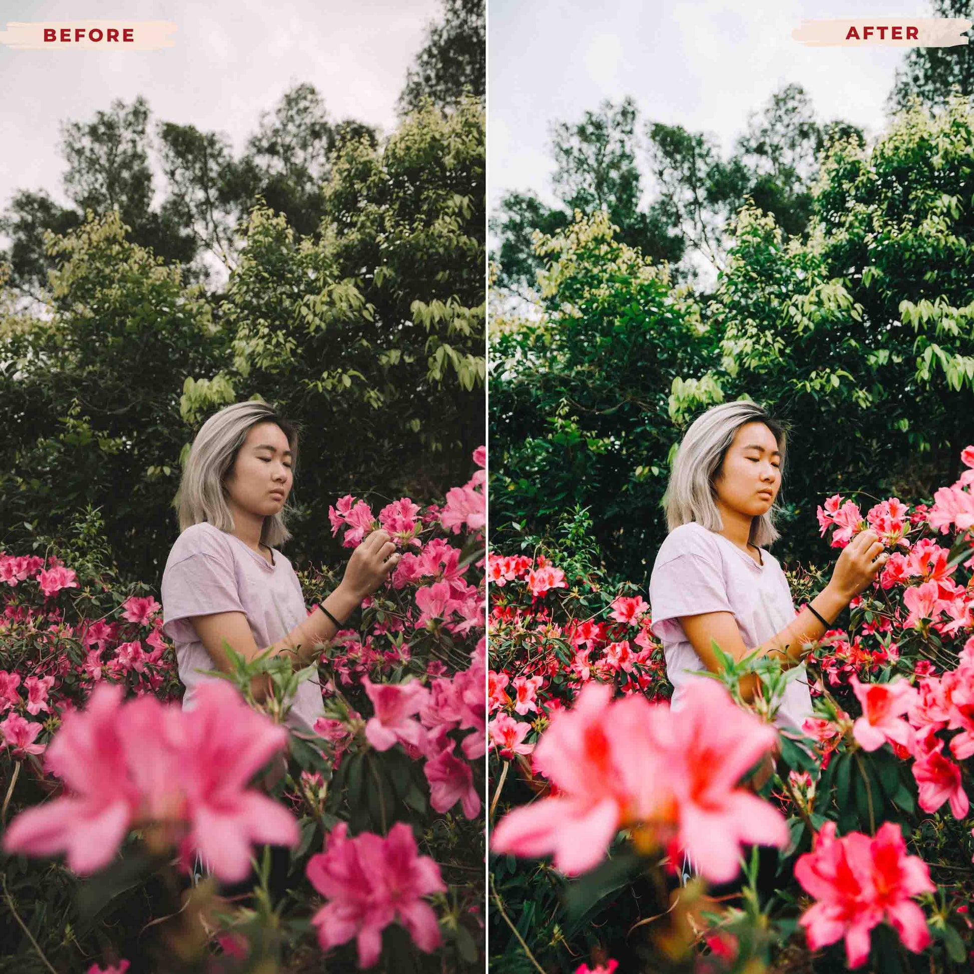 Ai-Optimized GARDEN GIRL LIGHTROOM PRESETS