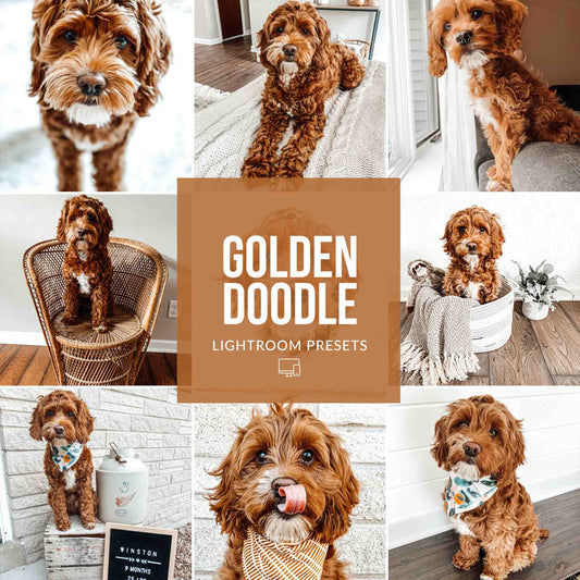 Ai-Optimized GOLDEN DOODLE LIGHTROOM PRESETS